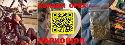прущие грибы Бузулук