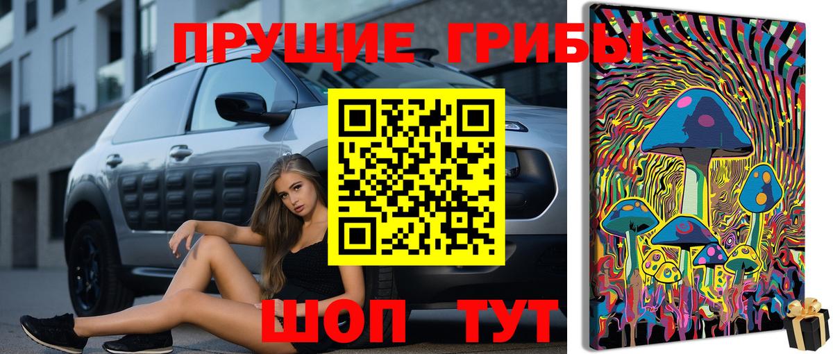 Псилоцибиновые грибы ЛСД  Вход с VPN  Сергиев Посад  Псилоцибиновые грибы GOLDEN TEACHER 